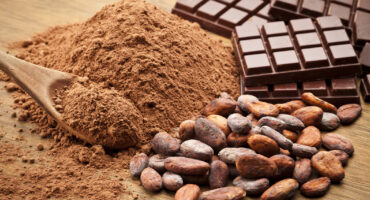 Cocoa Beans and Cocoa Powder with Chocolate Bars on Wood Table.