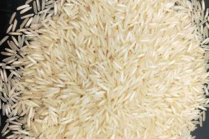 1121-steem-basmati-rice-qlk2mjt7jnie2vzvgwu96v9n1w0qqn7aprt73j76c0