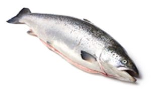 24.Atlantic-Salmon-Whole-Gutted-2